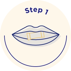 Put a pouch between your gum and lip.